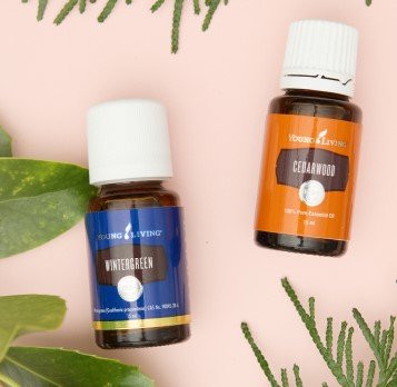 Esencias de bienestar - Ebook y fichas de PRODUCTOS